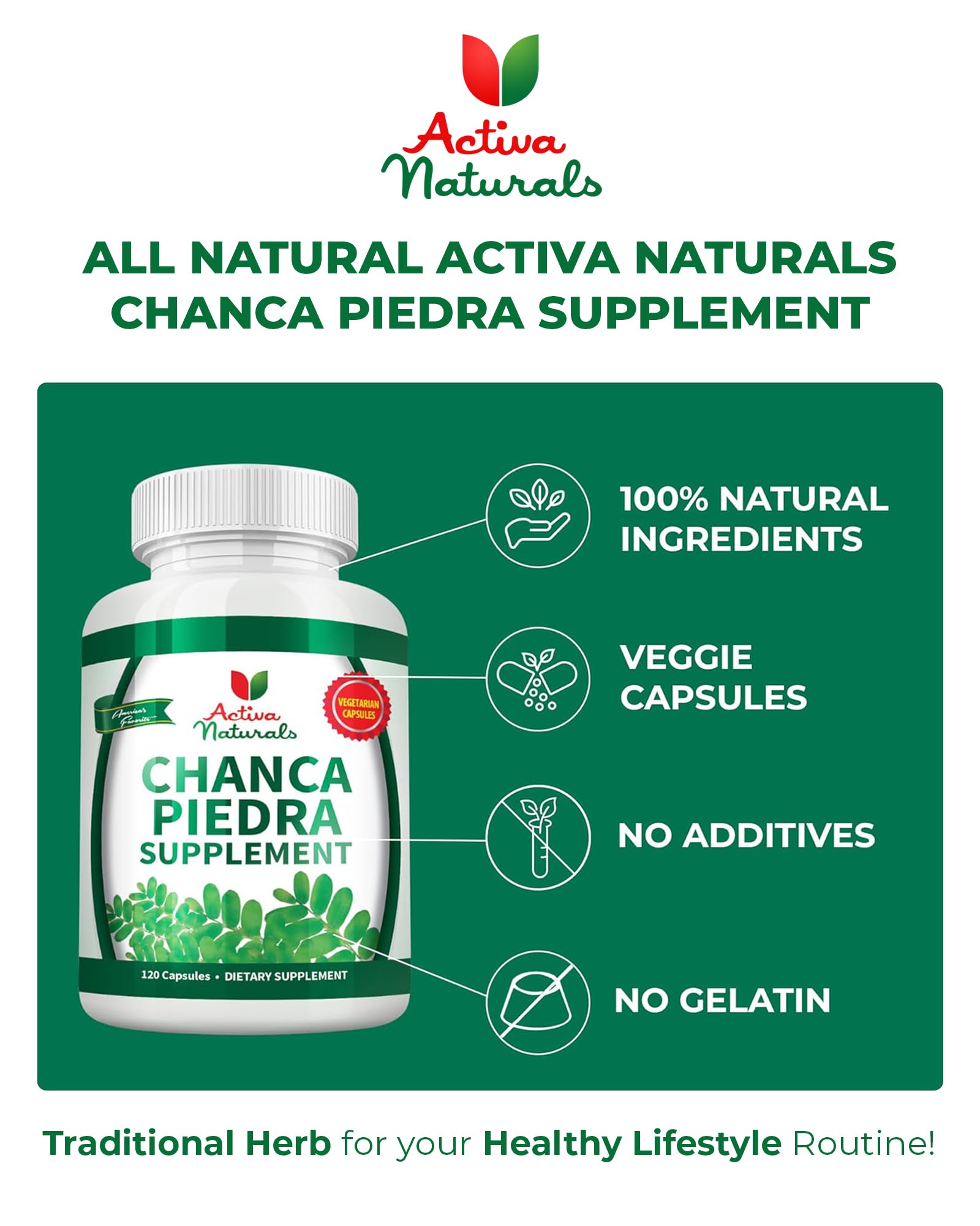 Phyllanthus Niruri herb (Chanca Piedra) phyto-remedy for urinary health.