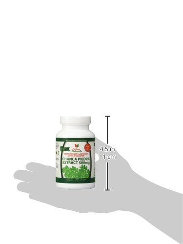 Traditional use of Chanca Piedra in herbal medicine.