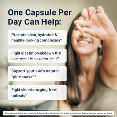 Graphic illustrating collagen and elastin support for skin