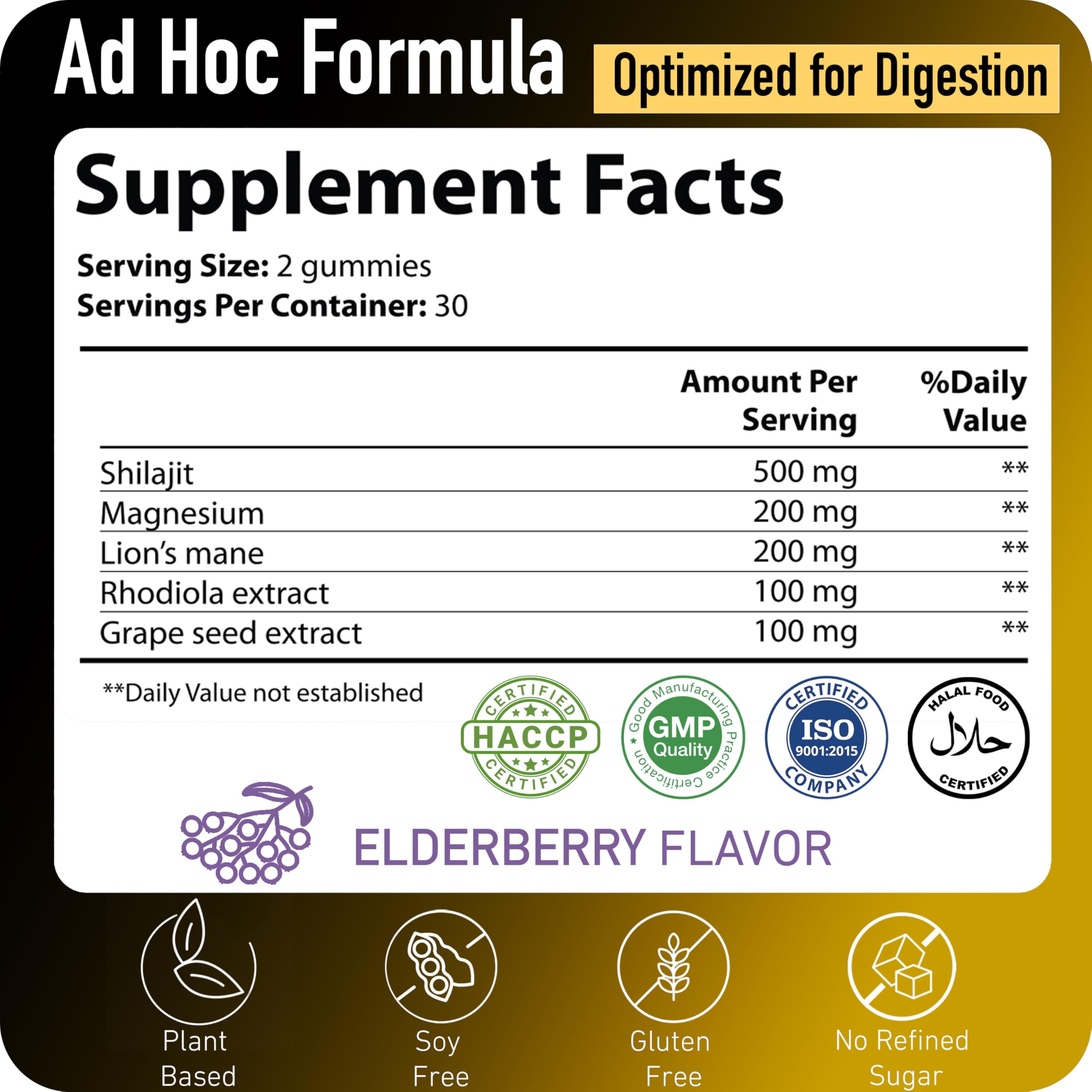 Vegan, sugar-free Shilajit Gummies with elderberry flavor