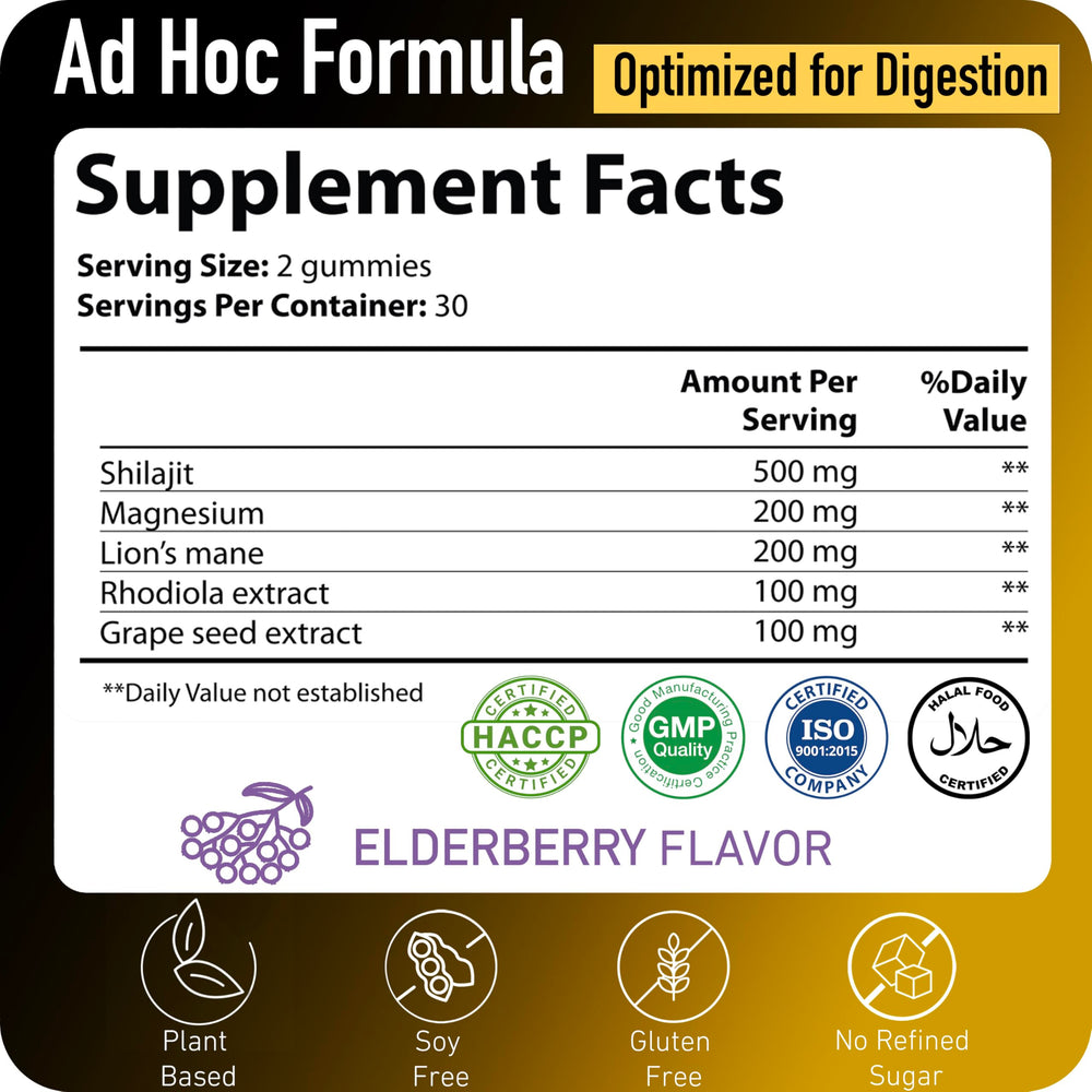 Vegan, sugar-free Shilajit Gummies with elderberry flavor