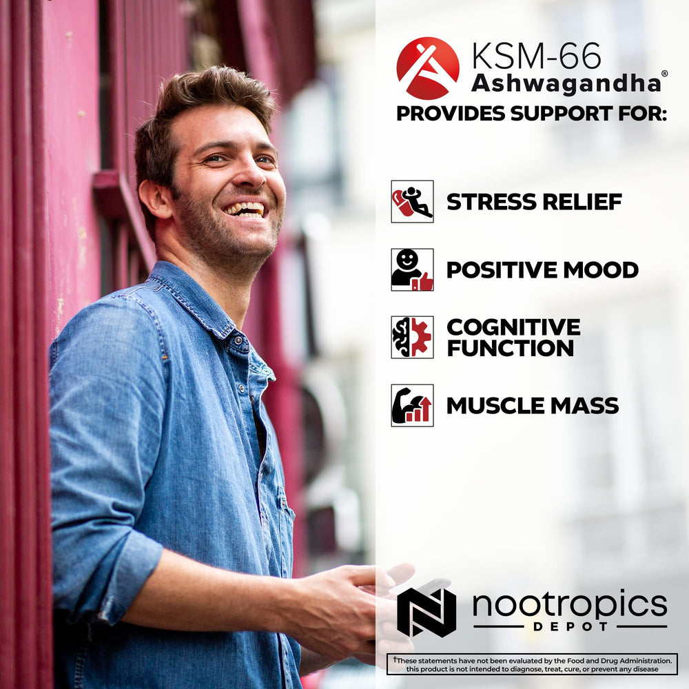 Adaptogen supplement concept with capsules and herbs