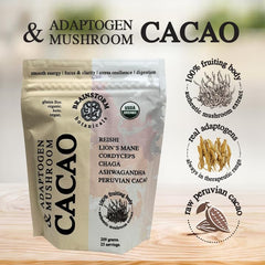 Mushroom extracts close-up: Lion's Mane, Reishi, Cordyceps, Chaga