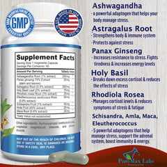 Close-up of herbal ingredients: Ashwagandha, Astragalus, Ginseng, Holy Basil