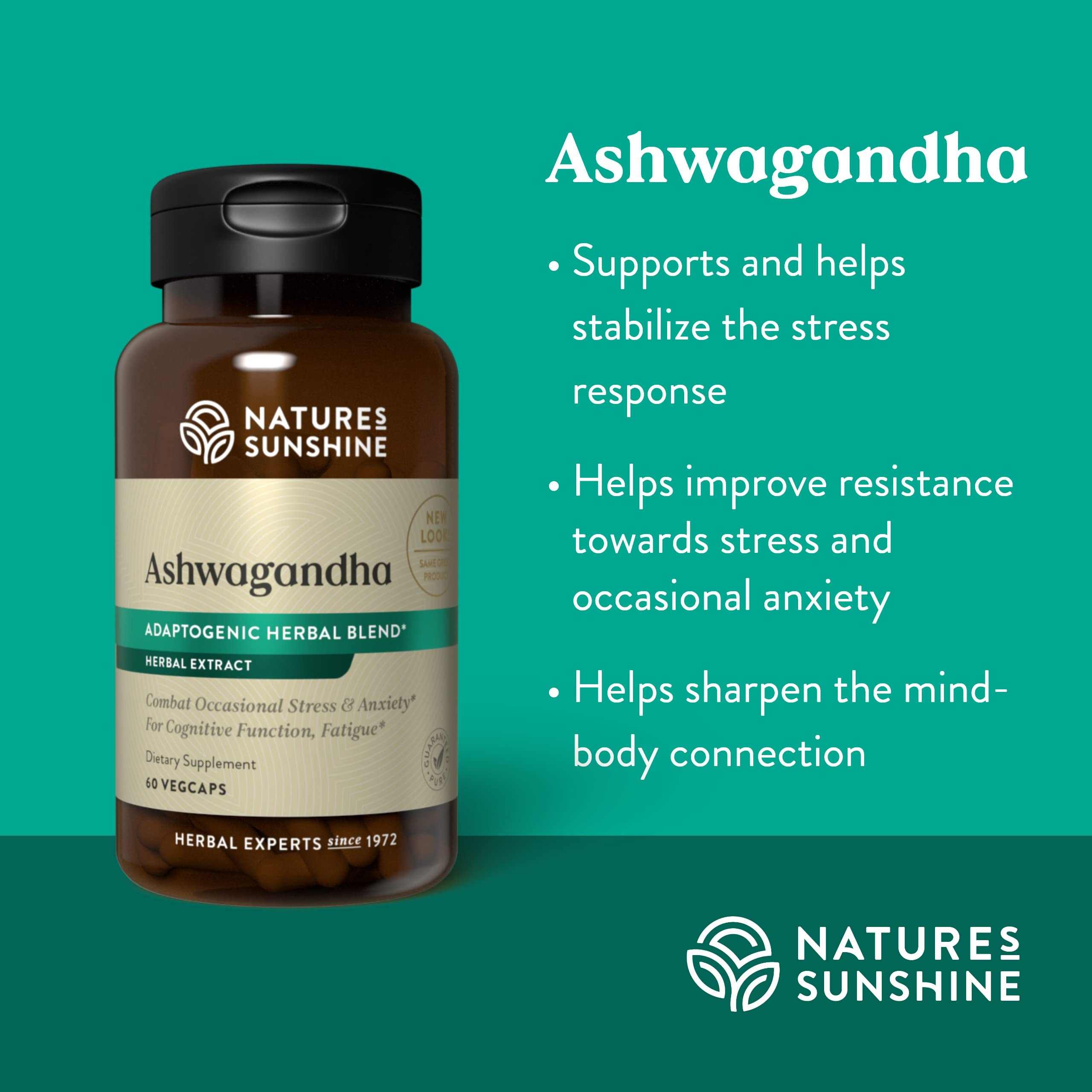 Illustration of adaptogenic herbs for stress support
