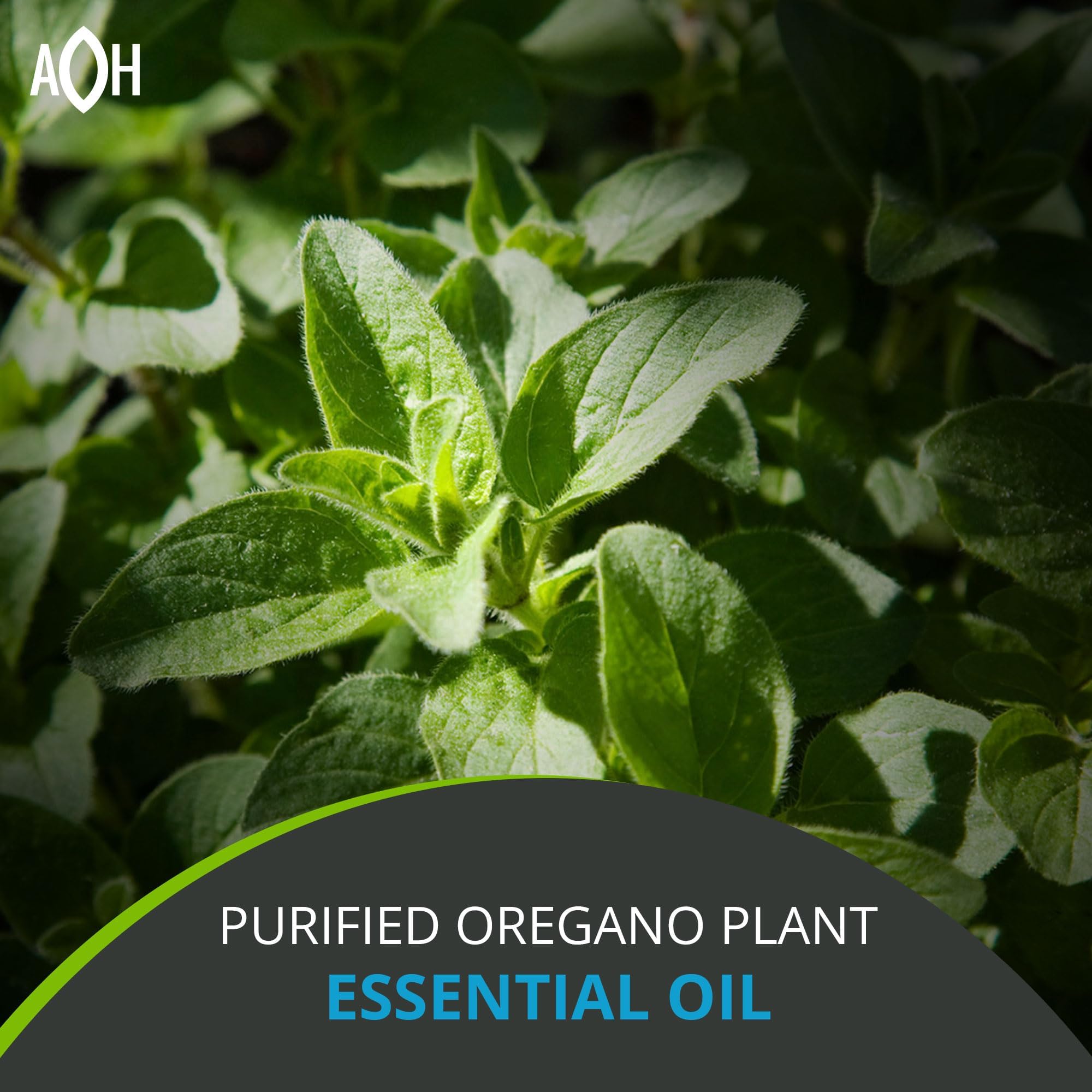 Plant-based, vegan, non-GMO ADAPTOHEAL formulation