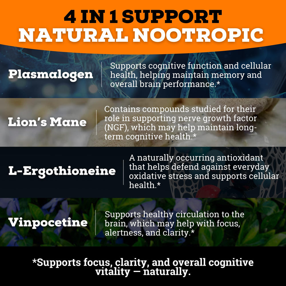 Lion’s Mane mushroom and capsules representing memory support