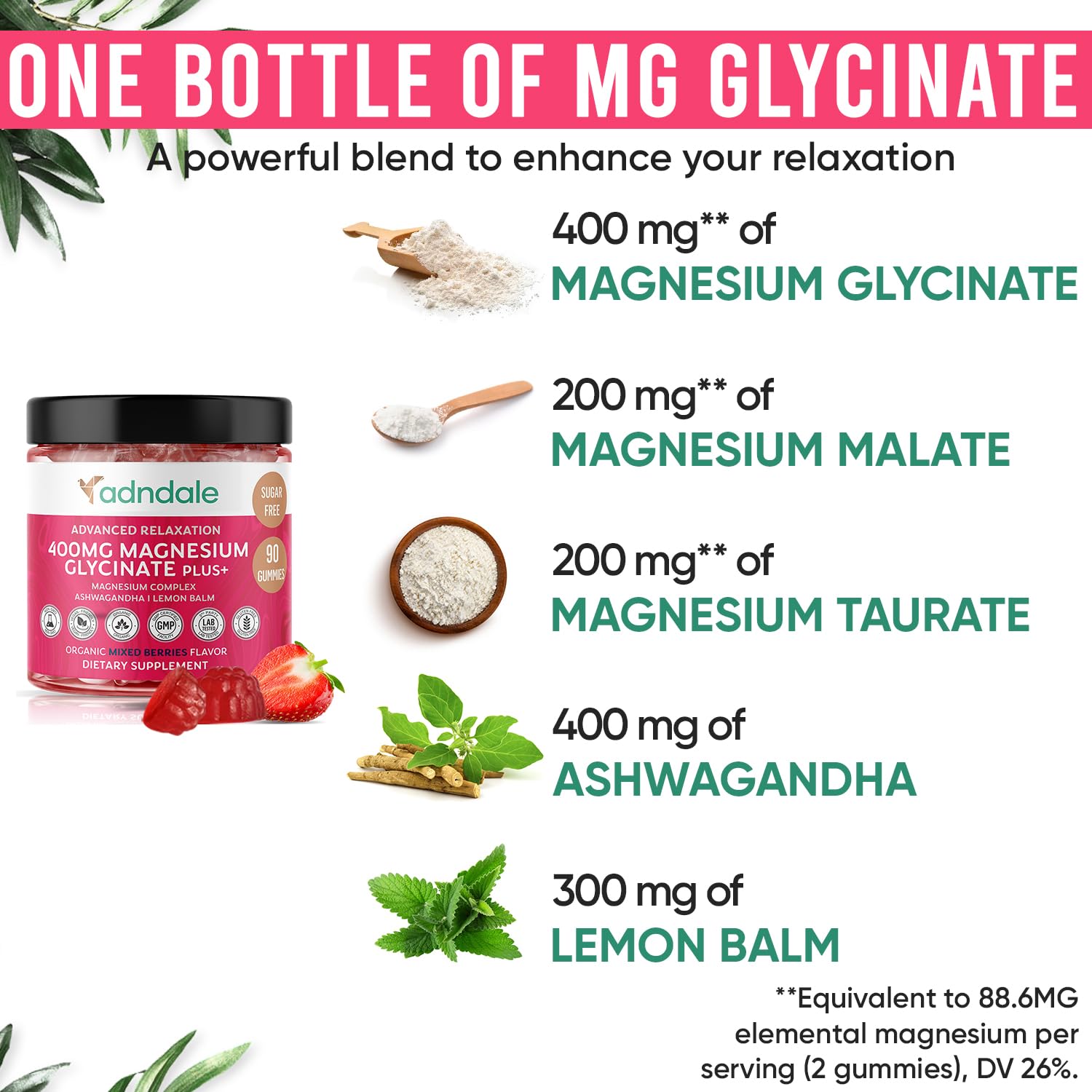 Adndale Ashwagandha Magnesium Gummies close-up highlights the calming herbal blend.