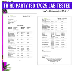Liposomal NAD Resveratrol Berberine fusion illustration