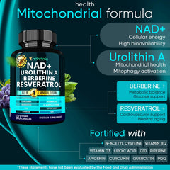 90 count bottle of Adndale NAD+ Supplement