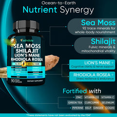 Close-up of Adndale Sea Moss Capsules bottle label