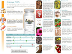 Enhanced focus and physical endurance