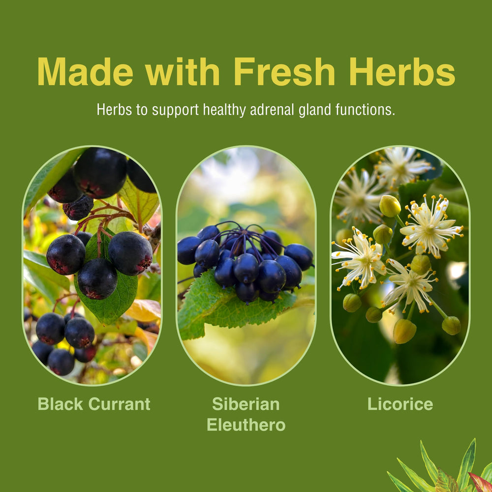 Adrenotonic packaging and label