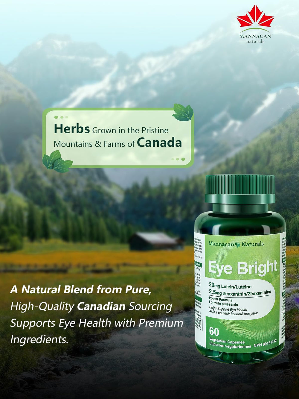 Adults eye health supplement benefits