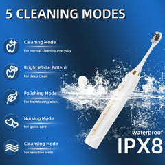 USB rechargeable toothbrush with 12 brush heads displayed