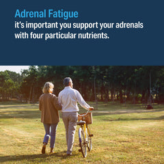 Liver concentrate ingredient illustration for Advanced Adrenal Factor