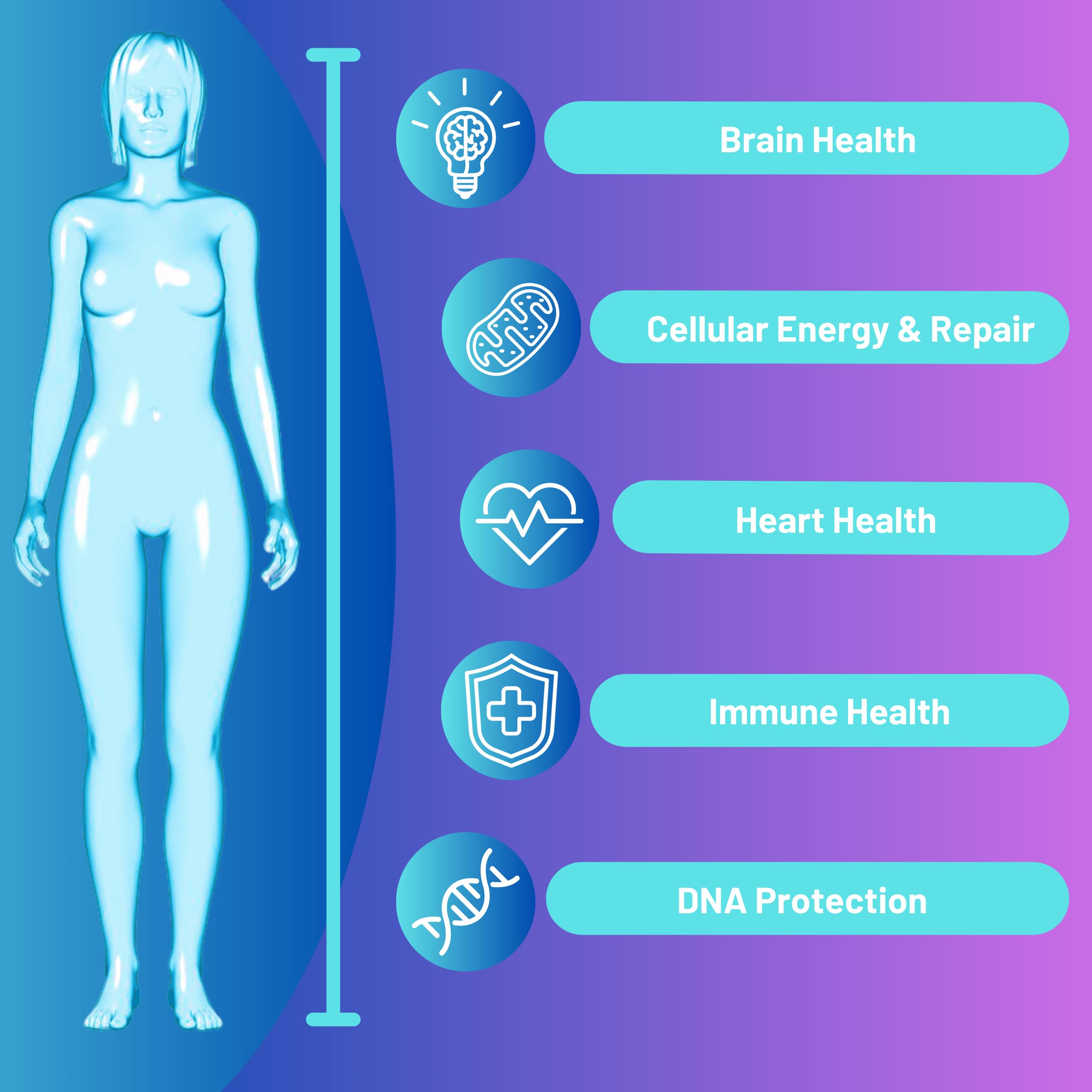 Close-up of bottle label showing NR, Resveratrol, Quercetin and Betaine