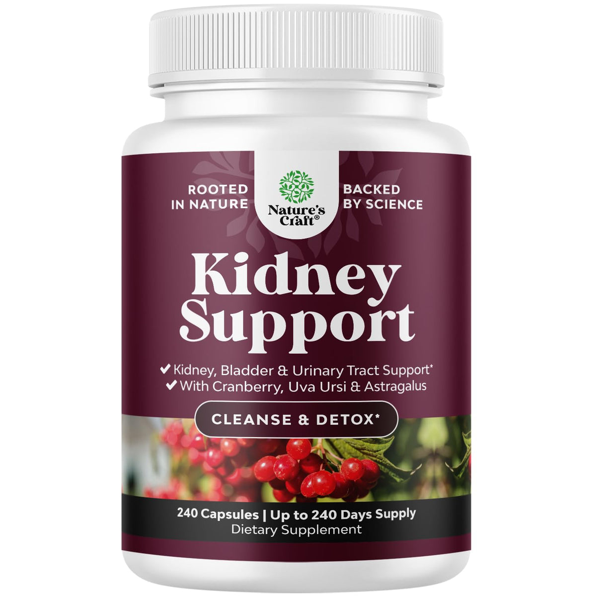 Advanced Kidney Support supplement bottle with 240 capsules