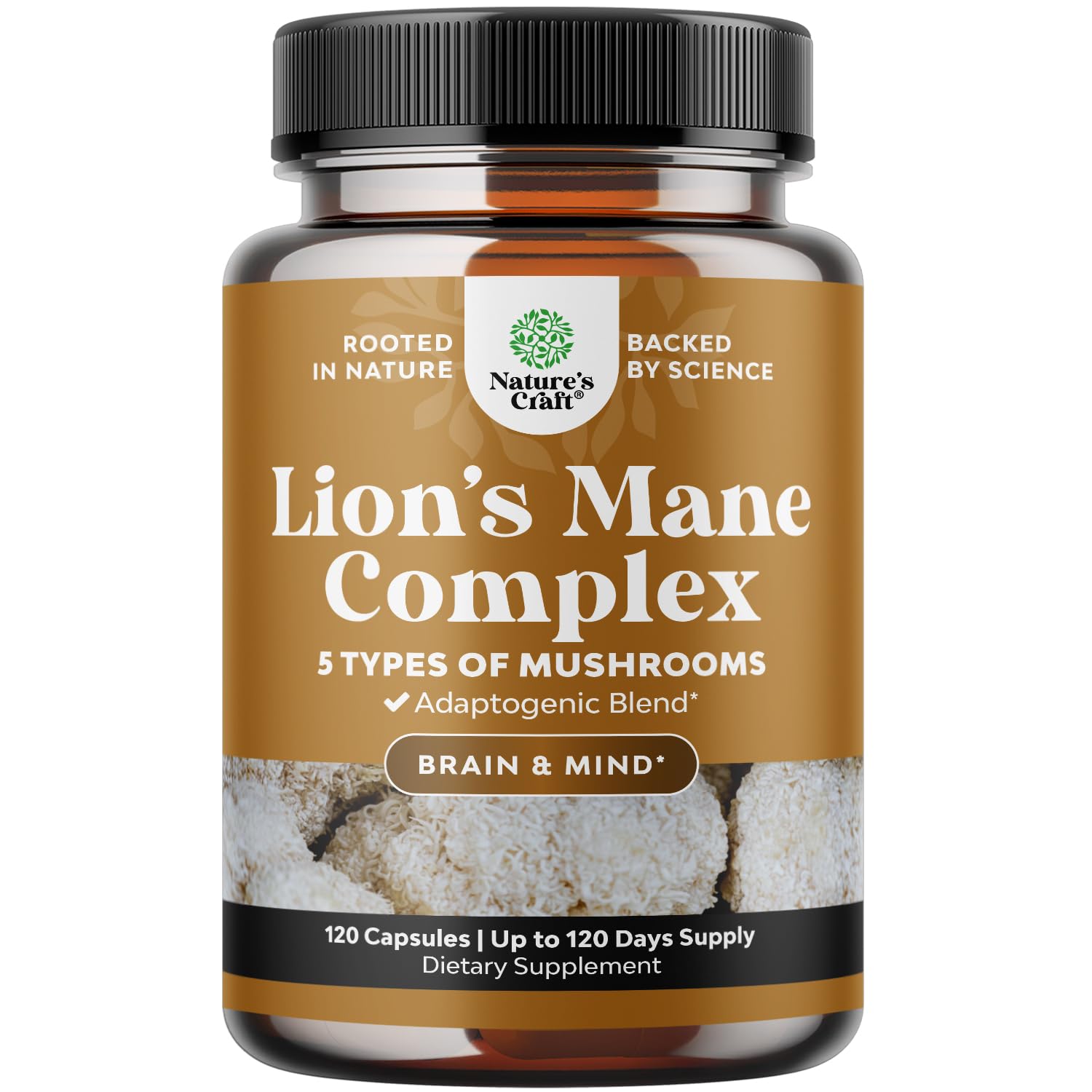 Hero image of Advanced Lion's Mane Supplement bottle with 120 capsules