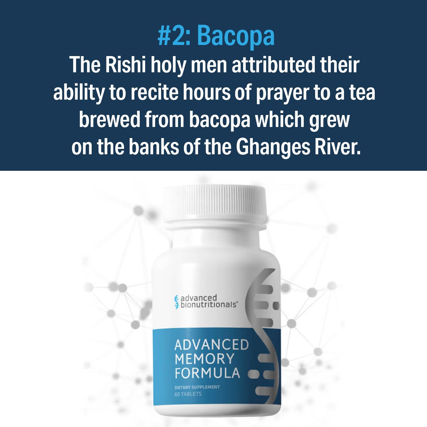 Ingredients like Alpha-GPC, Phosphatidylserine and Luteolin