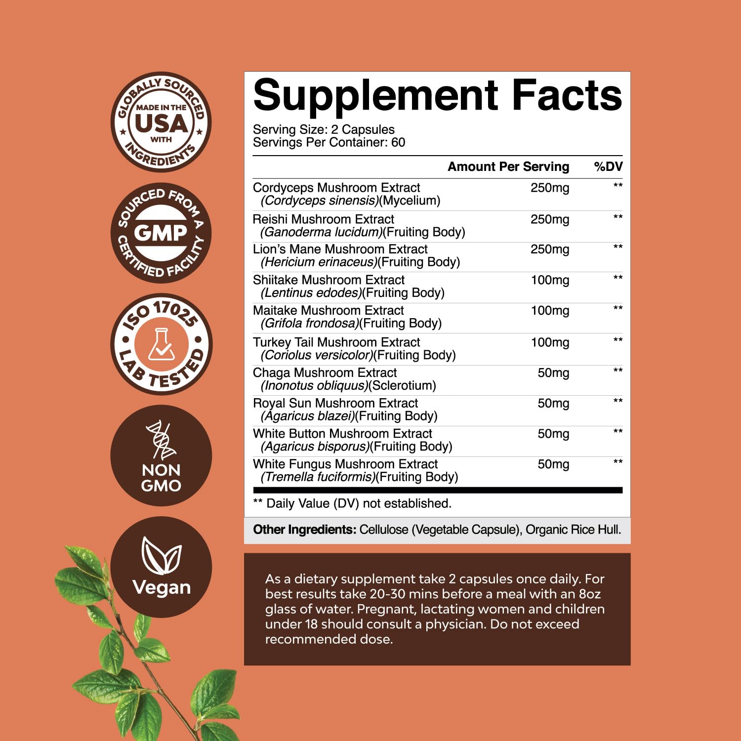 Close-up of 10-type adaptogenic mushroom blend