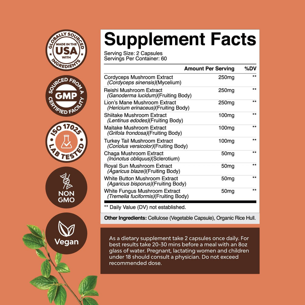 Close-up of 10-type adaptogenic mushroom blend