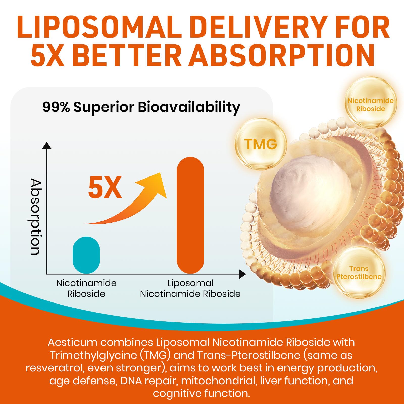 Top view of bottle cap and packaging