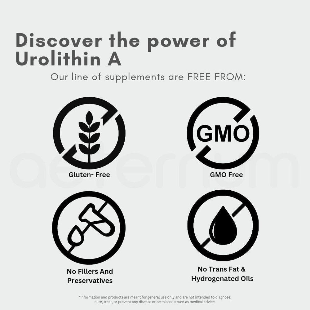 500mg scoop included with Urolithin A powder