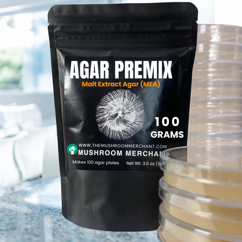 Standard 90 mm agar plates prepared with MEA Premix