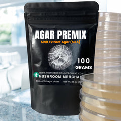 Standard 90 mm agar plates prepared with MEA Premix