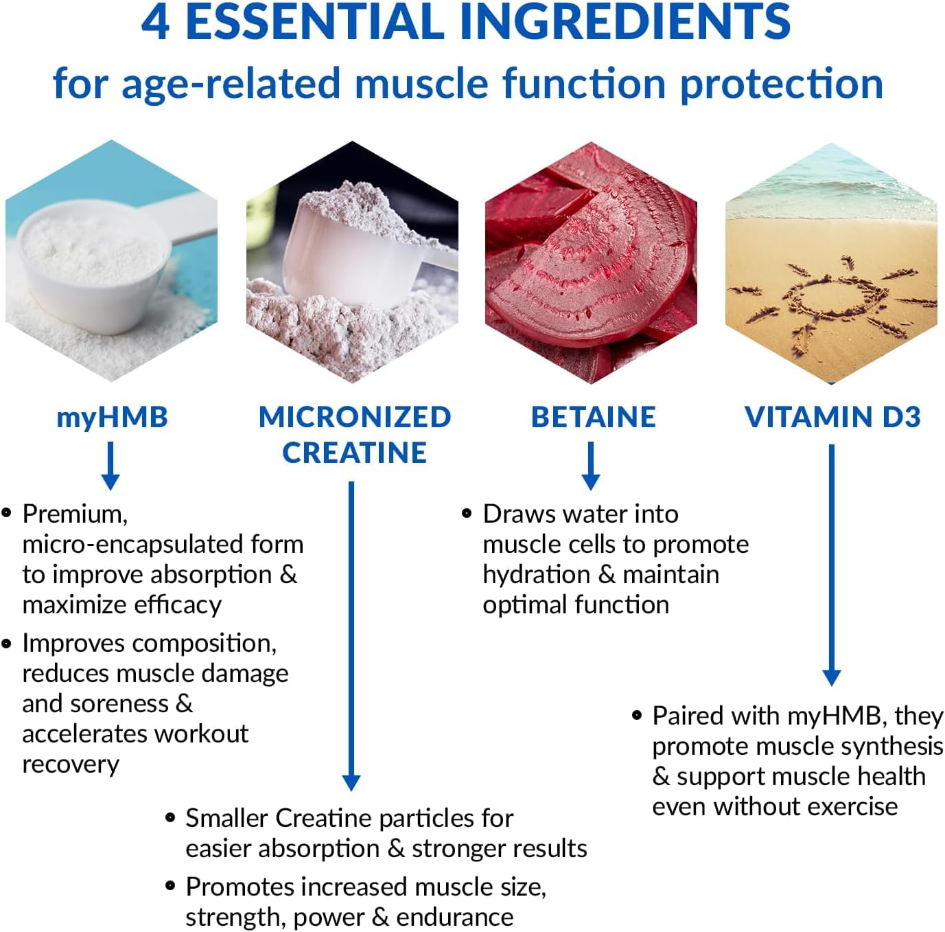 Close-up of creatine monohydrate and HMB powder