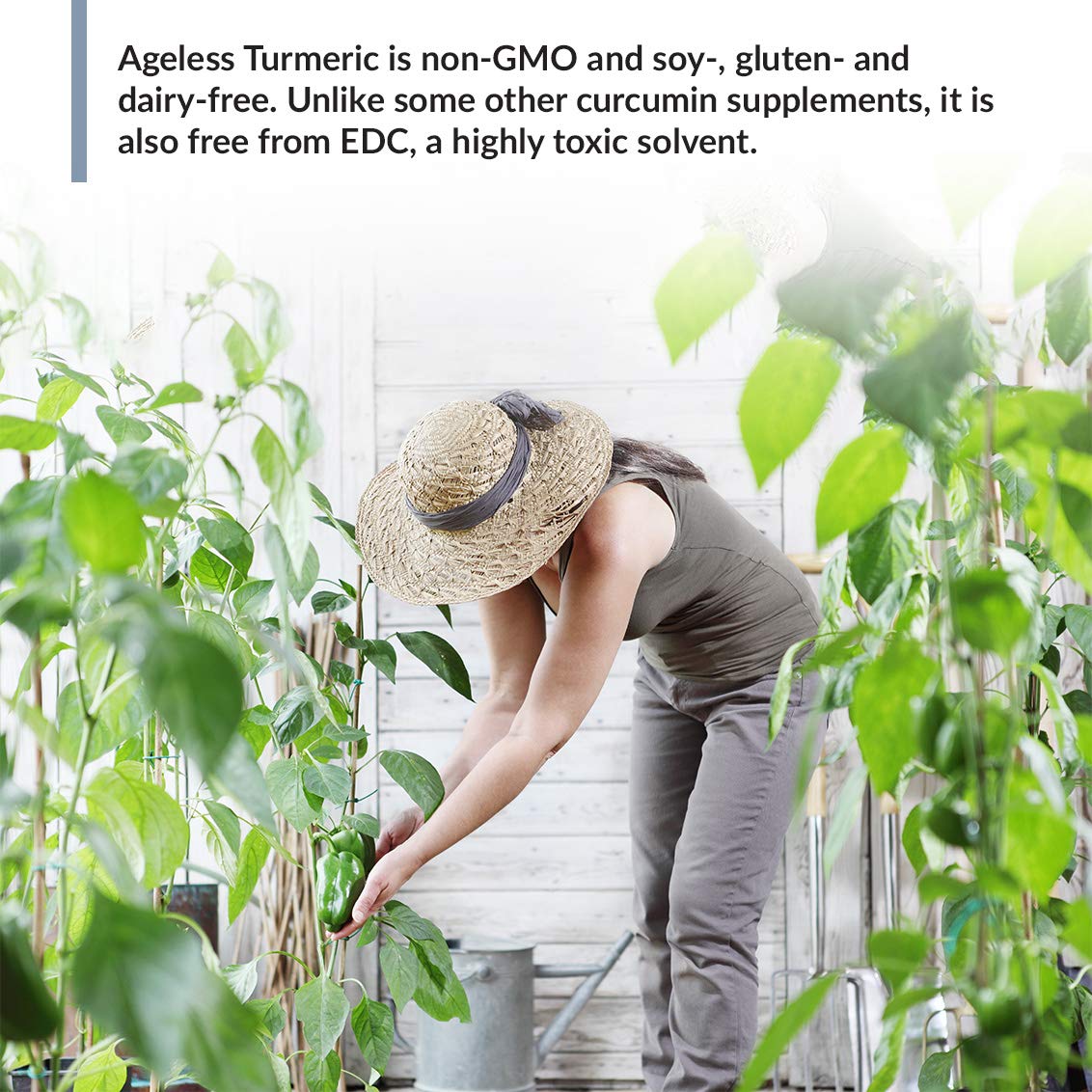 Non-GMO, soy-, gluten- and dairy-free packaging label