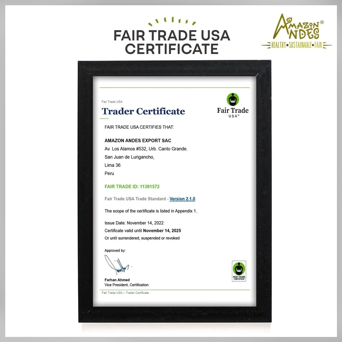 Eco-friendly packaging and green company messaging