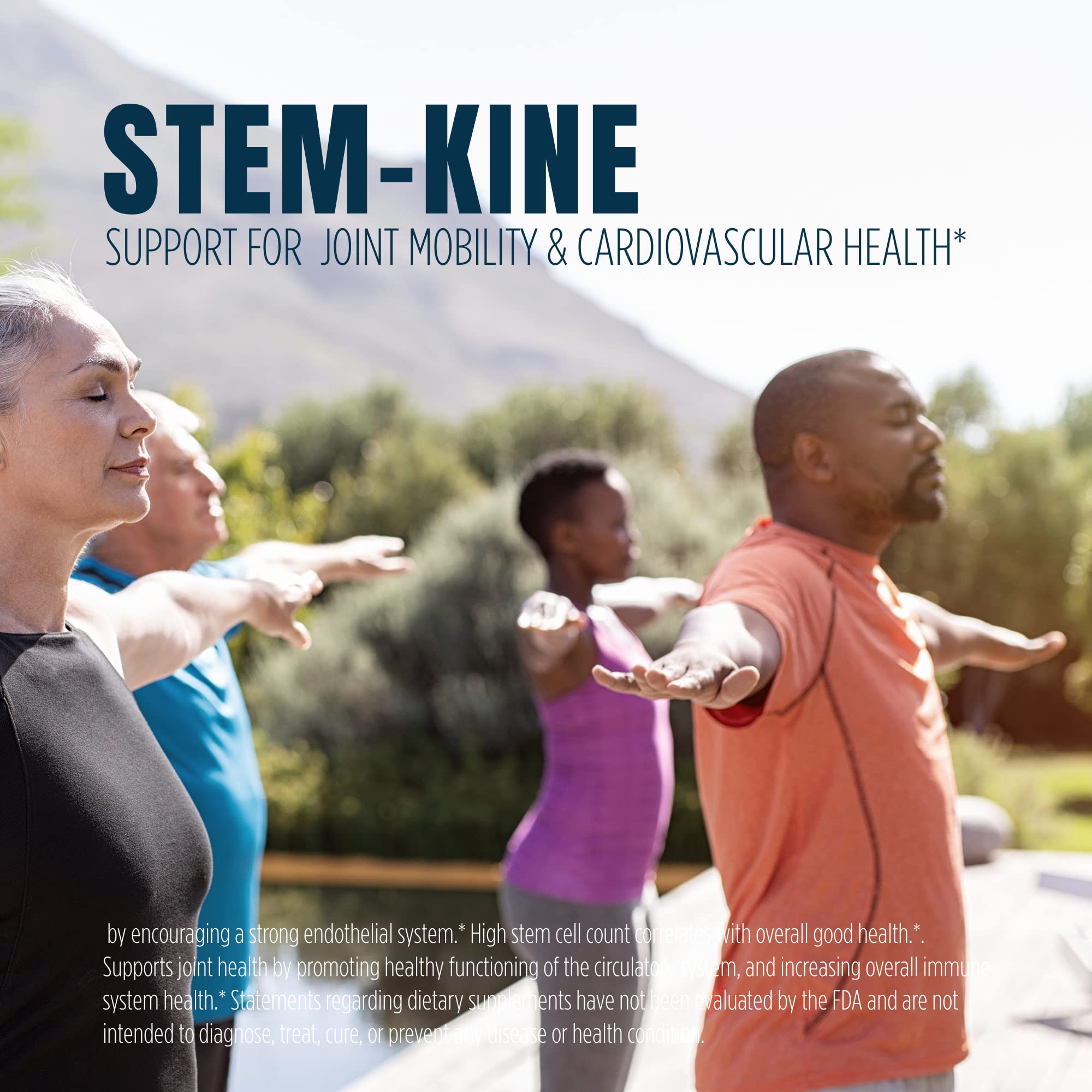 Patented Lactobacillus fermentum extract with astragalus root, goji berry, and green tea