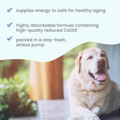 Close-up of airless pump technology for freshness