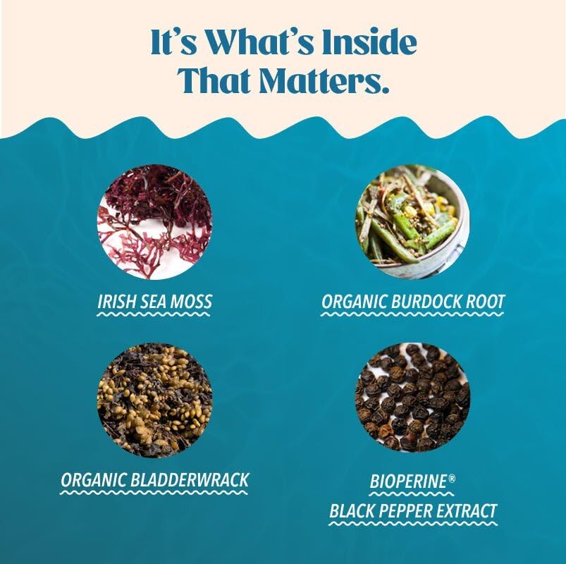 Concept image showing thyroid and digestion support from the sea moss blend