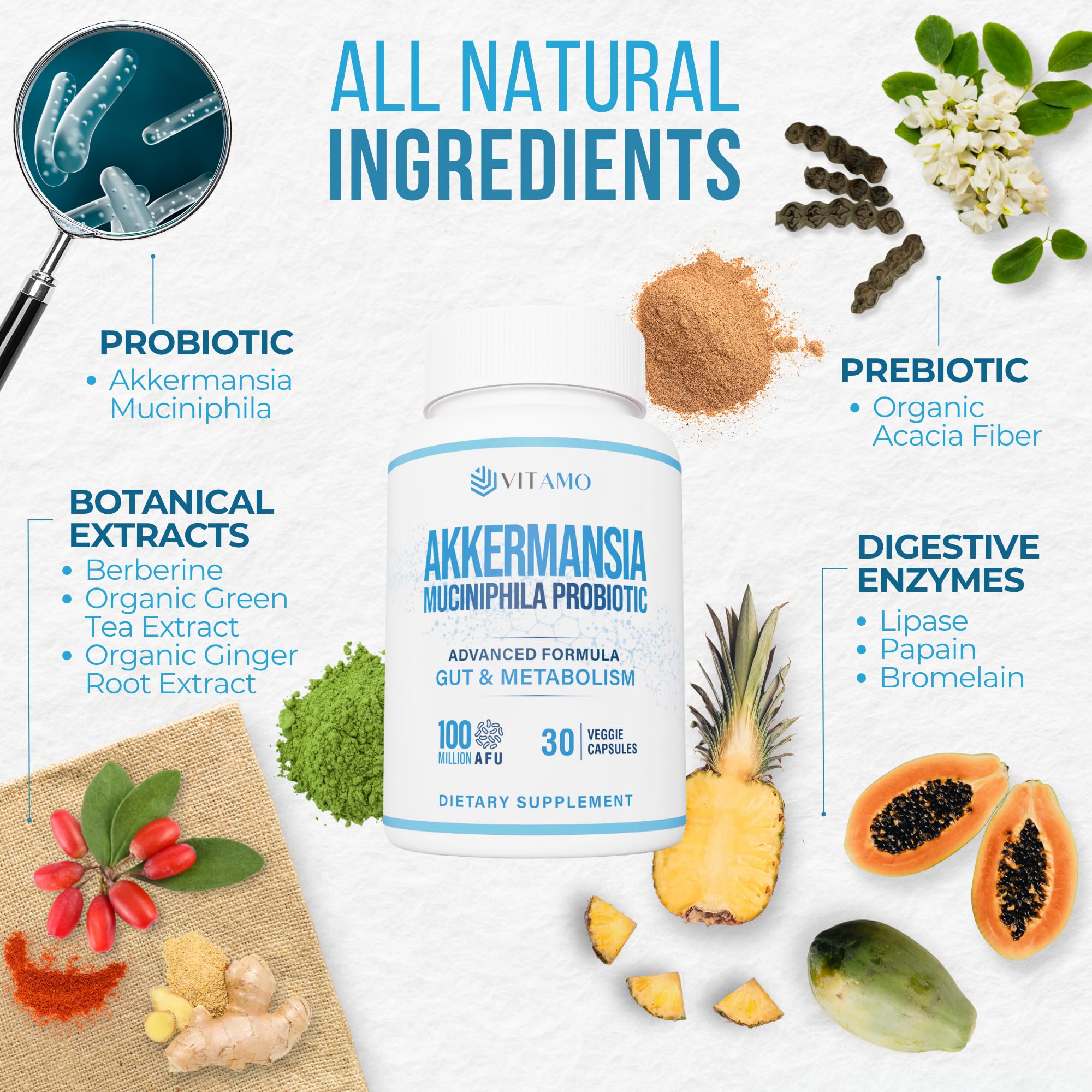 Illustration of green tea extract, acacia fiber, and digestive enzymes