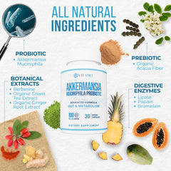 Illustration of green tea extract, acacia fiber, and digestive enzymes
