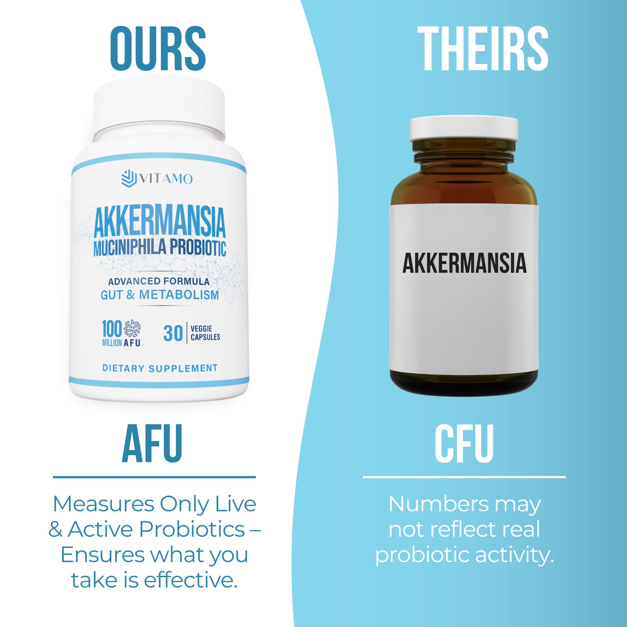 Enzymes bromelain, papain, lipase imagery