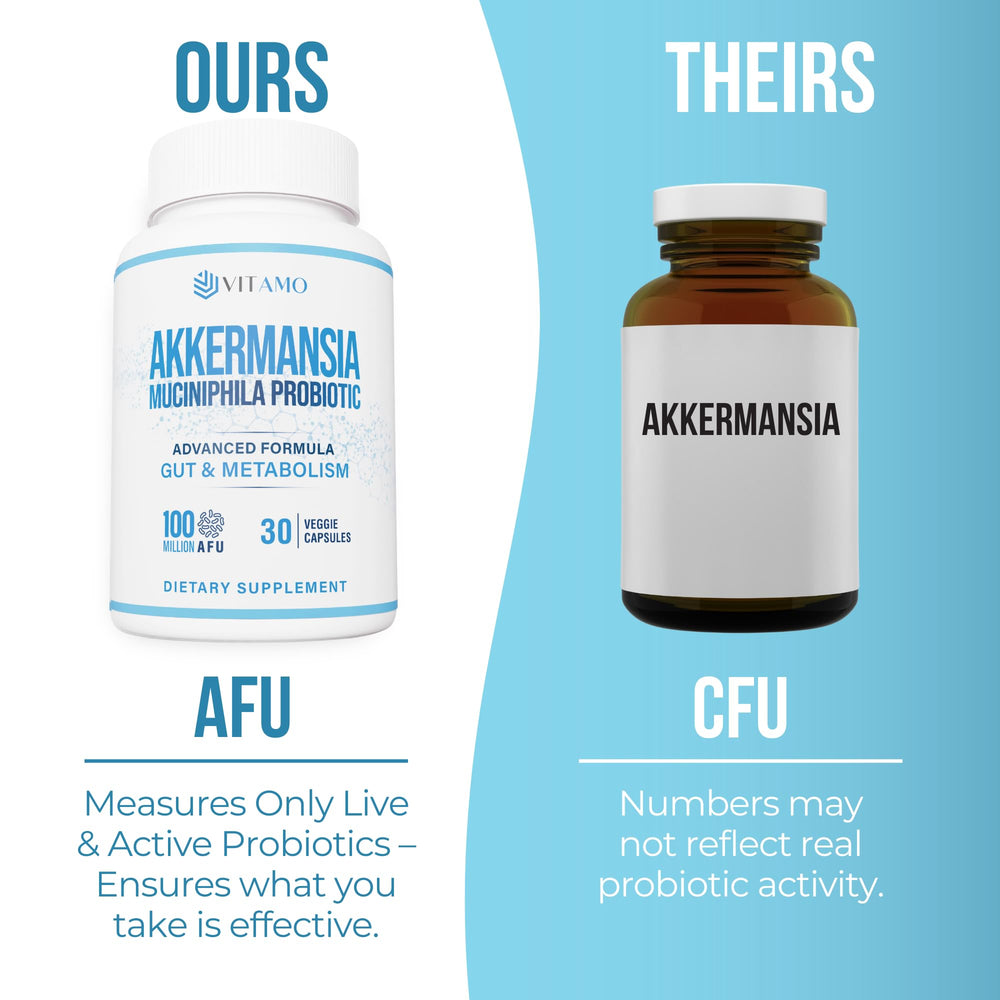 Enzymes bromelain, papain, lipase imagery