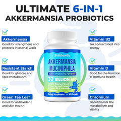 Graphic illustrating GLP-1 support and gut health