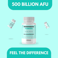 Close-up of Akkermansia Probiotic capsules