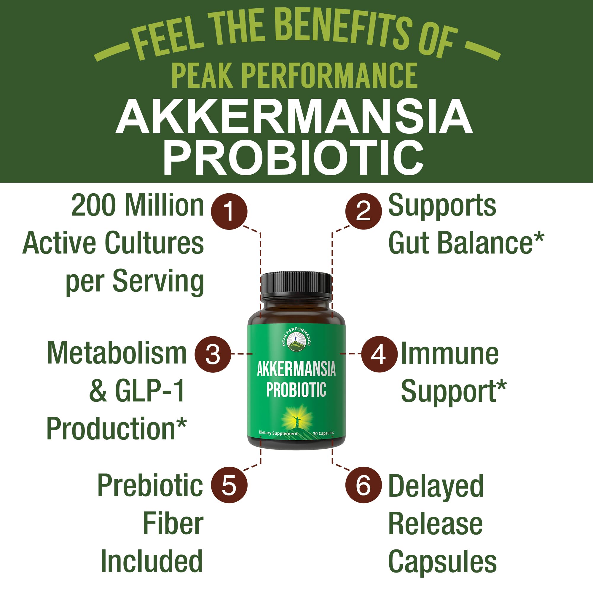 Close-up of delayed-release Akkermansia capsules