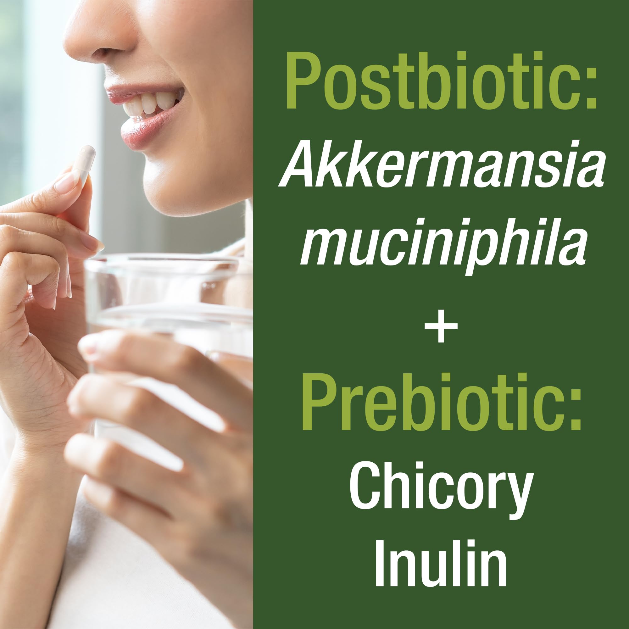 Graphic illustrating GLP-1 support and gut health