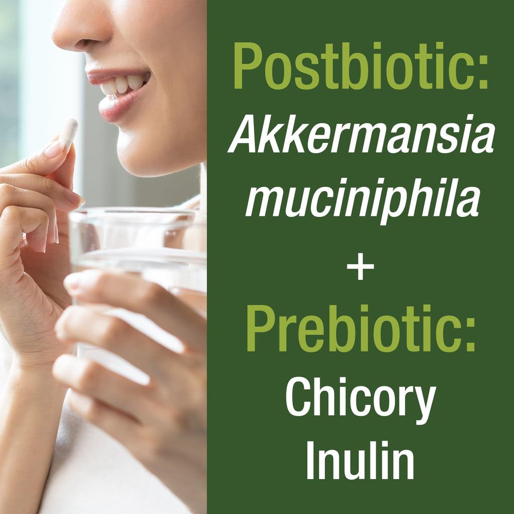 Graphic illustrating GLP-1 support and gut health