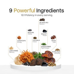 Reishi and Cordyceps mushrooms in the blend
