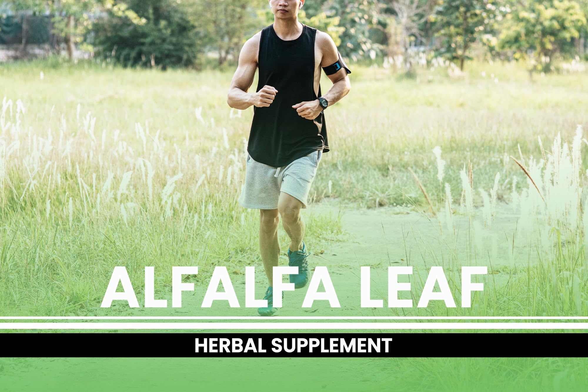 Bottle label highlighting no magnesium or rice fillers