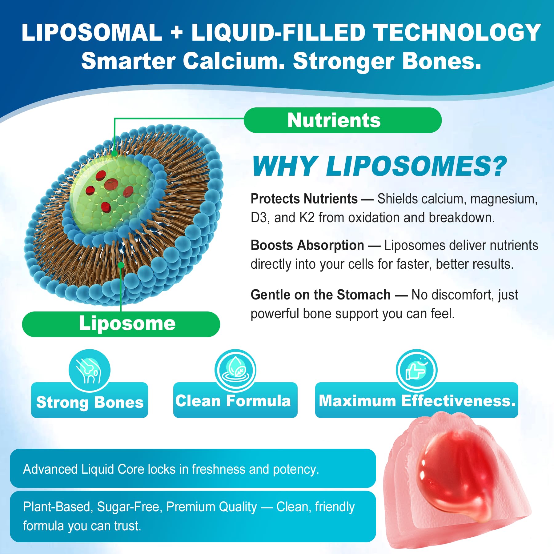 Ocean-sourced algae calcium illustration