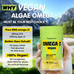 Microalgae-based DHA source for vegans