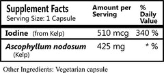 Kelp harvested under Kosher and Organic quality control for Algazim